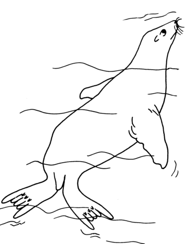 Fur Seal Underwater Coloring Page